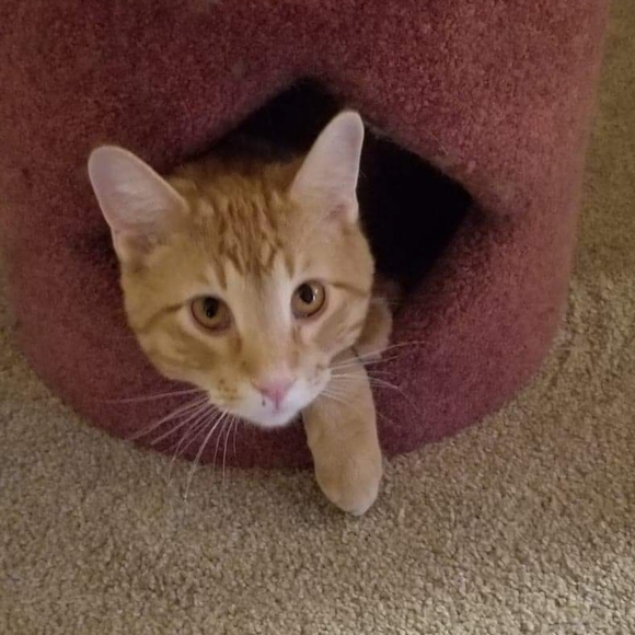 Meet your Posher, Teaera! - Picture 3 of 3